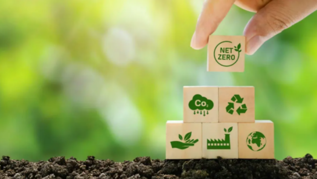 Il progetto GREENCO: come contribuire alla diminuzione dell’inquinamento digitale